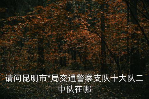 請問昆明市*局交通警察支隊(duì)十大隊(duì)二中隊(duì)在哪