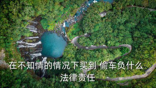 法律偷車(chē)同伙如何處理合同