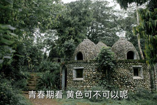 成年人看黃色片