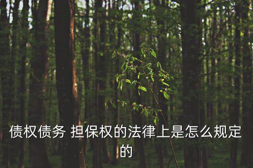 擔保合同根據(jù)什么法律法規(guī)