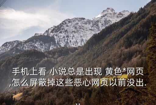 *小說(shuō)網(wǎng)站