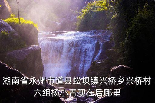楊小青，楊小青是自白是真的嗎