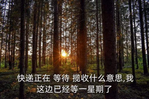快遞一直顯示等待攬收,為什么順豐快遞一直顯示等待攬收