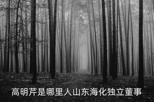 高明芹是哪里人山東海化獨(dú)立董事