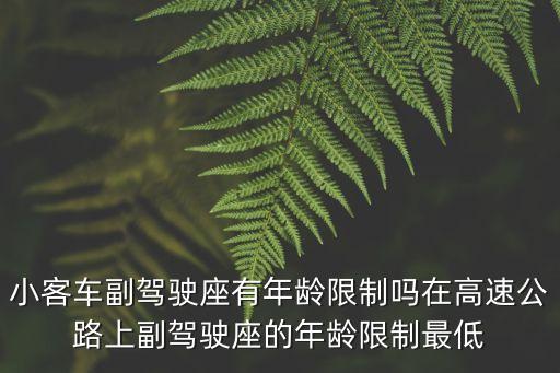 坐副駕駛的要求，小客車副駕駛座有年齡限制嗎在高速公路上副駕駛座的年齡限制最低