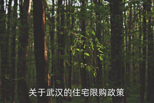 關于武漢的住宅限購政策
