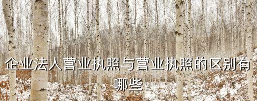 企業(yè)執(zhí)照，公司營業(yè)執(zhí)照有哪些內(nèi)容