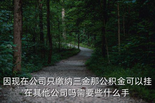 公積金掛靠，掛靠單位交公積金什么意思