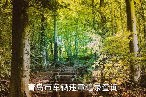 青島交通違章查詢，青島怎么查詢汽車違章