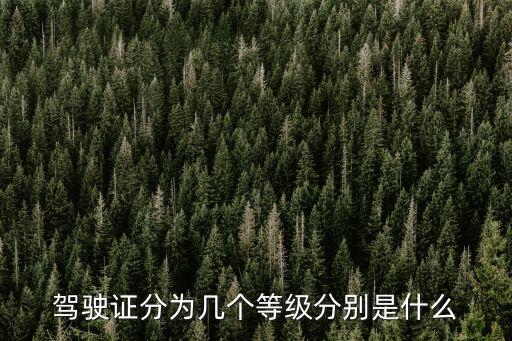 駕駛證分為幾個等級分別是什么