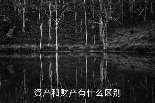 財(cái)產(chǎn)，財(cái)產(chǎn)到底是什么