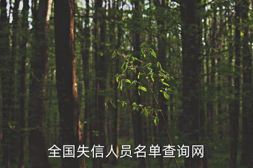 中國(guó)信息執(zhí)行公開(kāi)網(wǎng)，怎樣查詢被失信人名單