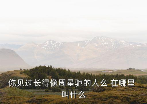 張新龍，張新龍對不起我嗎