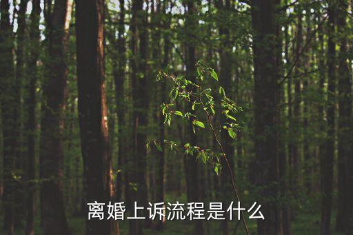 上訴離婚，離婚上訴流程是什么