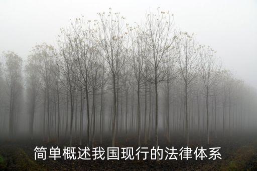 簡(jiǎn)單概述我國(guó)現(xiàn)行的法律體系