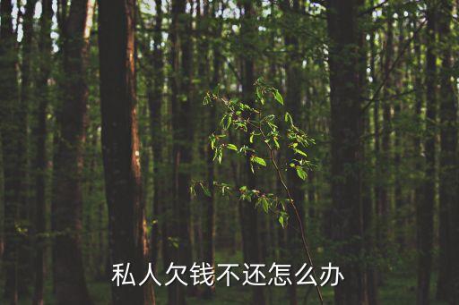 私人欠錢不還怎么辦
