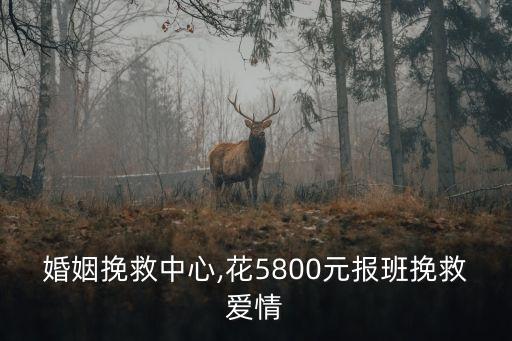 婚姻挽救中心,花5800元報(bào)班挽救愛情