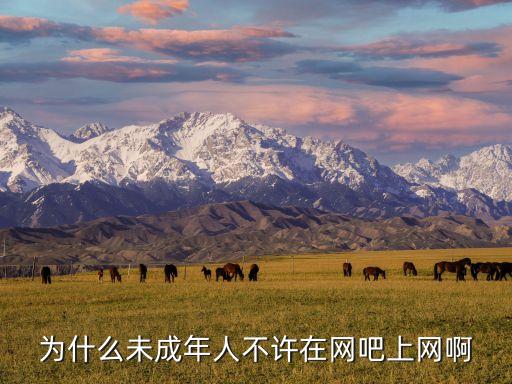 未成年禁止網(wǎng)站，為什么未成年人不許在網(wǎng)吧上網(wǎng)啊