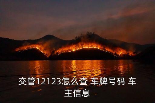 交管12123怎么查 車牌號(hào)碼 車主信息