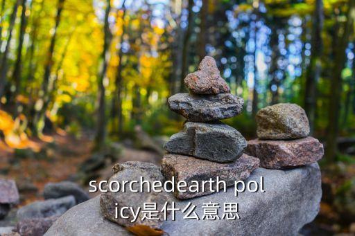 焦土政策，真朱的魔法