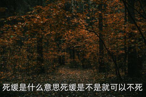 死緩是什么意思死緩是不是就可以不死