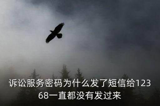 訴訟服務，在廣東*訴訟服務網(wǎng)上怎樣申請執(zhí)行從哪里入口呢