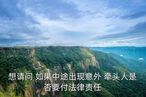 想請(qǐng)問(wèn) 如果中途出現(xiàn)意外 牽頭人是否要付法律責(zé)任