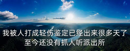 輕傷鑒定下來是調(diào)解還是抓人，打架鑒定輕傷后可不可以抓人