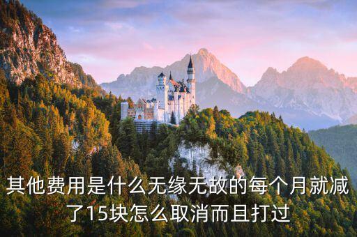 其他費(fèi)用是什么無(wú)緣無(wú)故的每個(gè)月就減了15塊怎么取消而且打過(guò)