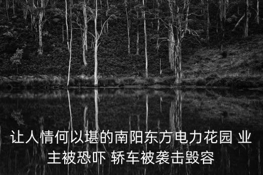讓人情何以堪的南陽東方電力花園 業(yè)主被恐嚇 轎車被襲擊毀容