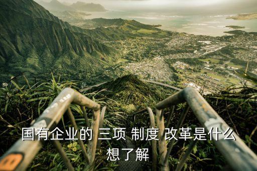 國有企業(yè)的 三項(xiàng) 制度 改革是什么想了解