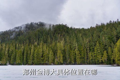 金博大，鄭州市金博大位置在哪