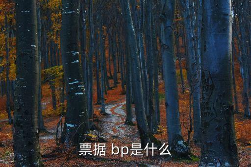 bp基點(diǎn)，票據(jù) bp是什么