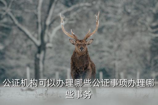 公證機(jī)構(gòu)可以辦理哪些公證事項(xiàng)辦理哪些事務(wù)