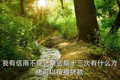 我有信用不良記錄逾期十三次有什么方法可以按揭貸款
