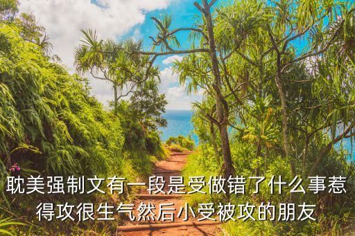 強制文，囚禁強制系BL小說