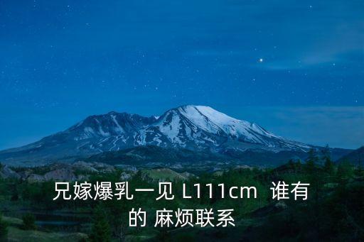 兄嫁爆乳一見 L111cm  誰有的 麻煩聯(lián)系