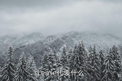 Lease代表什么