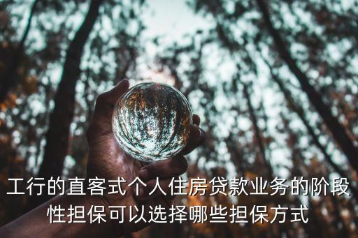 階段性擔(dān)保，階段性擔(dān)保的介紹