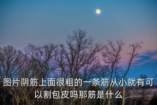 圖片陰筋上面很粗的一條筋從小就有可以割包皮嗎那筋是什么