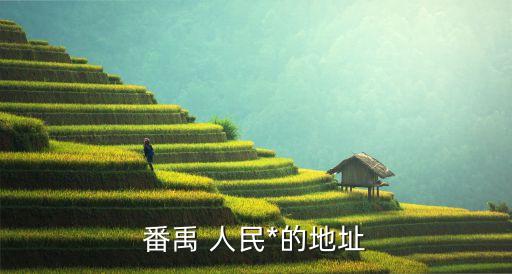 番禹 人民*的地址