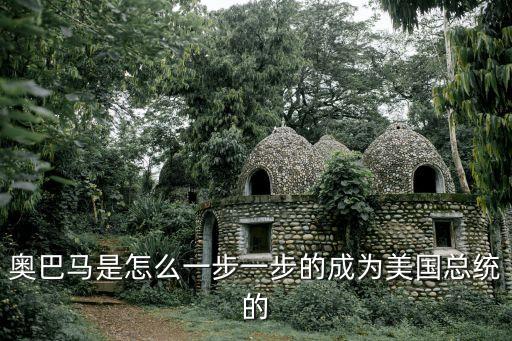 奧巴馬是怎么一步一步的成為美國(guó)總統(tǒng)的