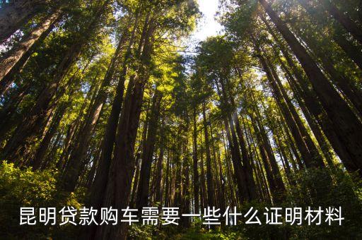 貸款買車，昆明貸款購(gòu)車需要一些什么證明材料