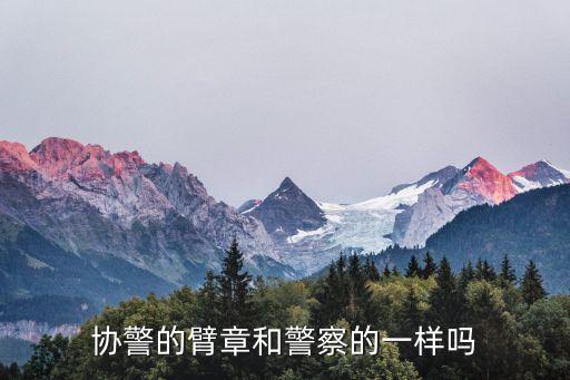 協(xié)警肩章，協(xié)警的臂章和警察的一樣嗎