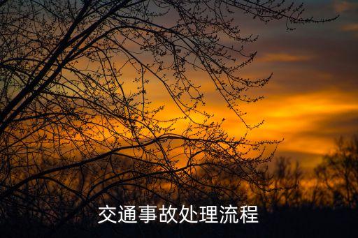 交通事故處理流程，交通事故處理流程