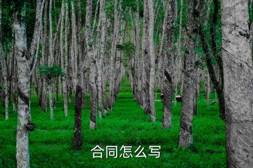 合同怎么寫，合同怎么寫