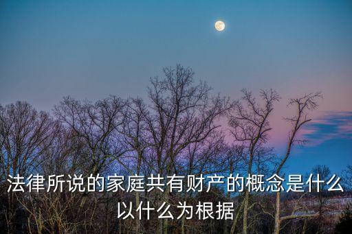 家庭共有財產，夫妻財產和家庭共有財產