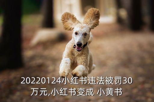 成人小黃書