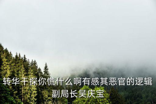 轉(zhuǎn)華干探你慌什么啊有感其惡官的邏輯副局長吳慶寶