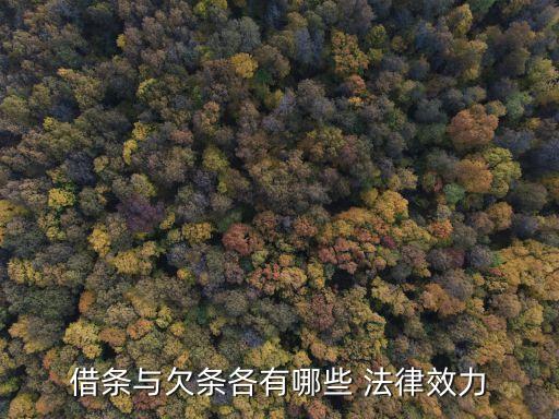 借款合同是什么法律關(guān)系